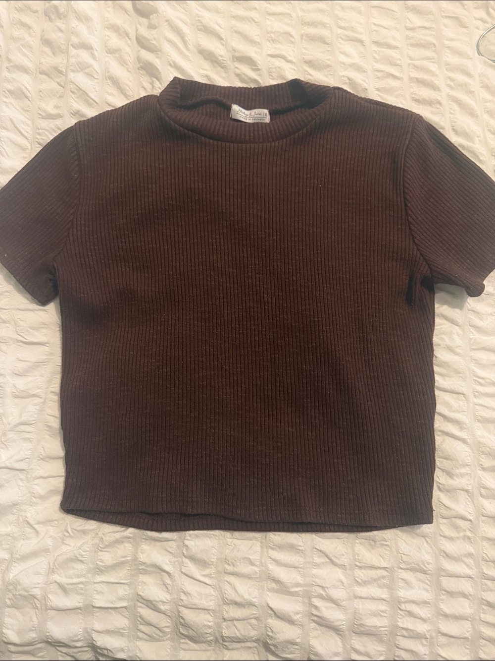Ribbed Short-Sleeve Crop Top — Brown